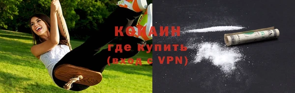 соль ск Абаза