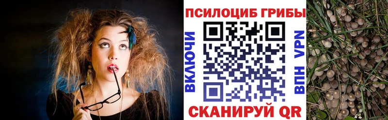 Галлюциногенные грибы Psilocybe  Усмань 